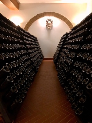 Wonderful winery with a full meal and tasting!