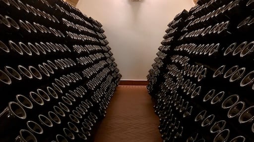 Wonderful winery with a full meal and tasting!