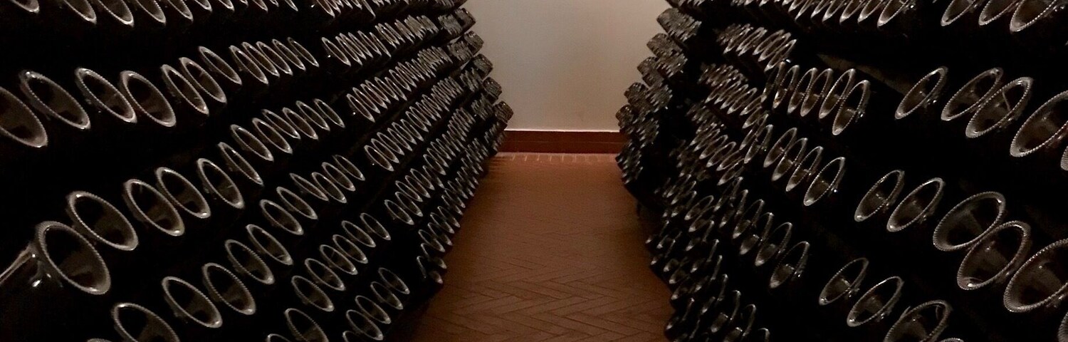 Wonderful winery with a full meal and tasting!