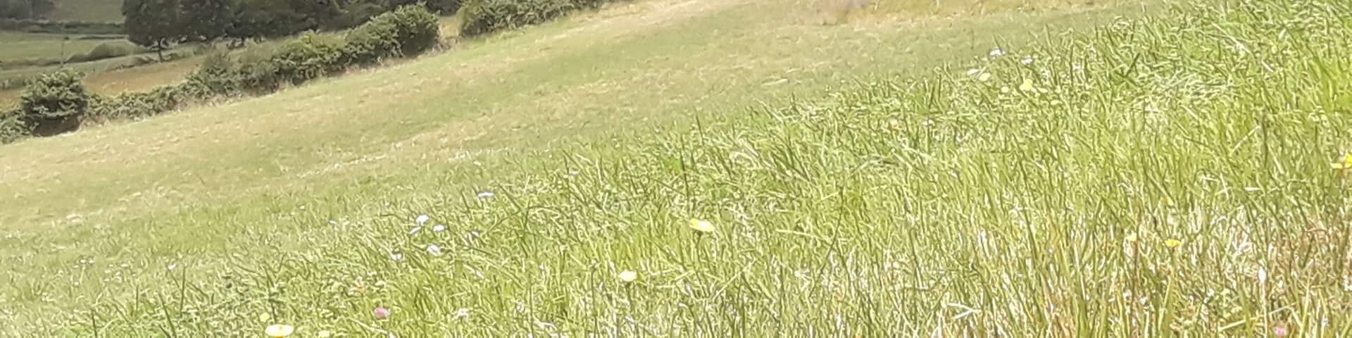 Ihaben vist del sud.