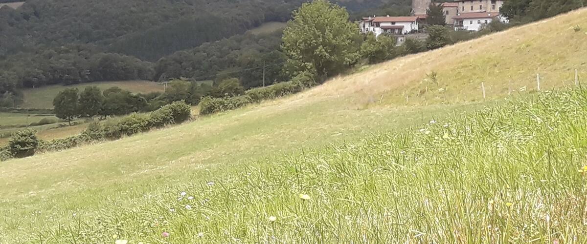 A rural landscape with rolling hills, a tower, and traditional houses.
