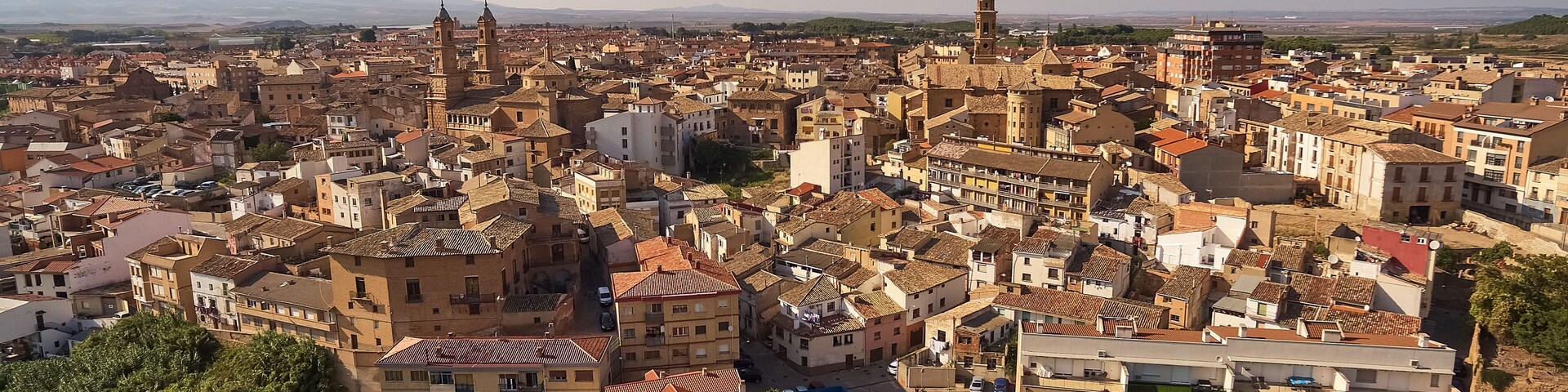 A densely packed urban area with historic buildings, a prominent church with two towers, and a clear view of distant mountains.