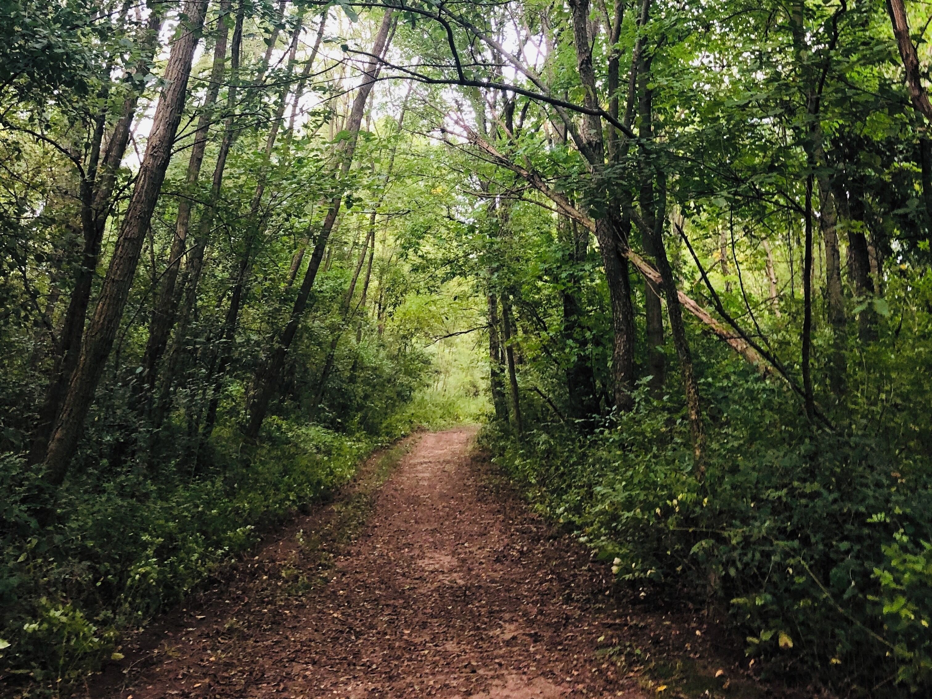 One of the Lake in MI
