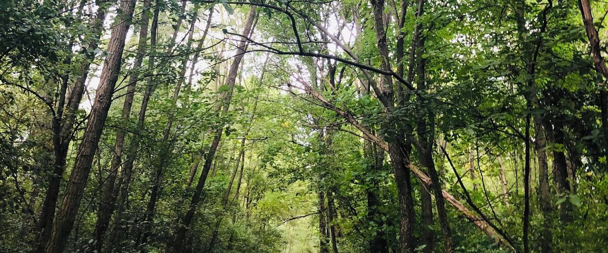 One of the Lake in MI