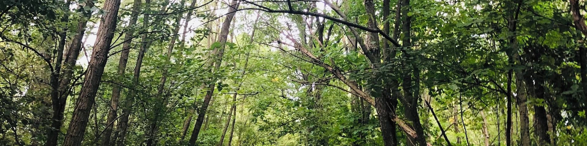 One of the Lake in MI