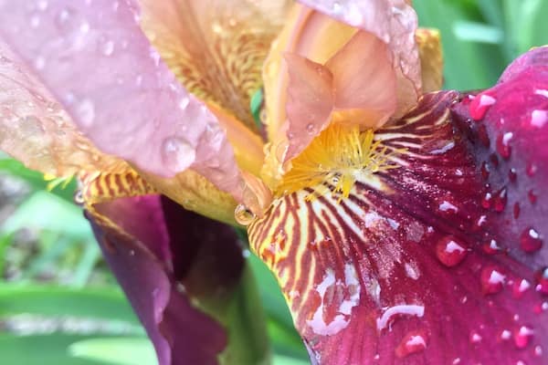 Went camping here... very nice place! Great place for family. Nice trails, clean, and can see the stars on a clear night!