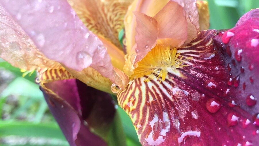 Went camping here... very nice place! Great place for family. Nice trails, clean, and can see the stars on a clear night!