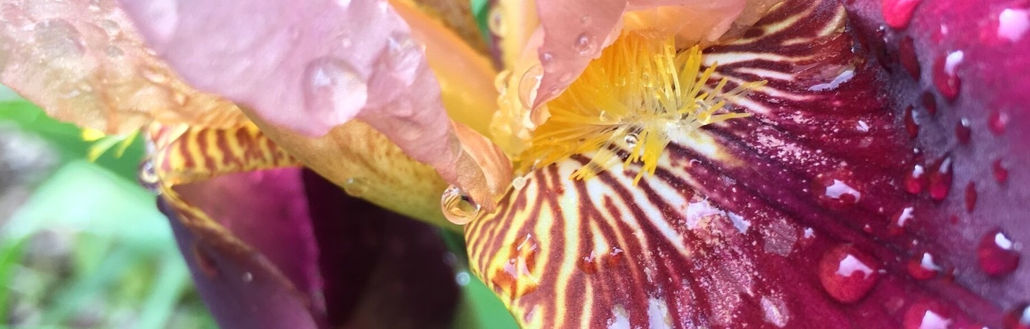 Went camping here... very nice place! Great place for family. Nice trails, clean, and can see the stars on a clear night!