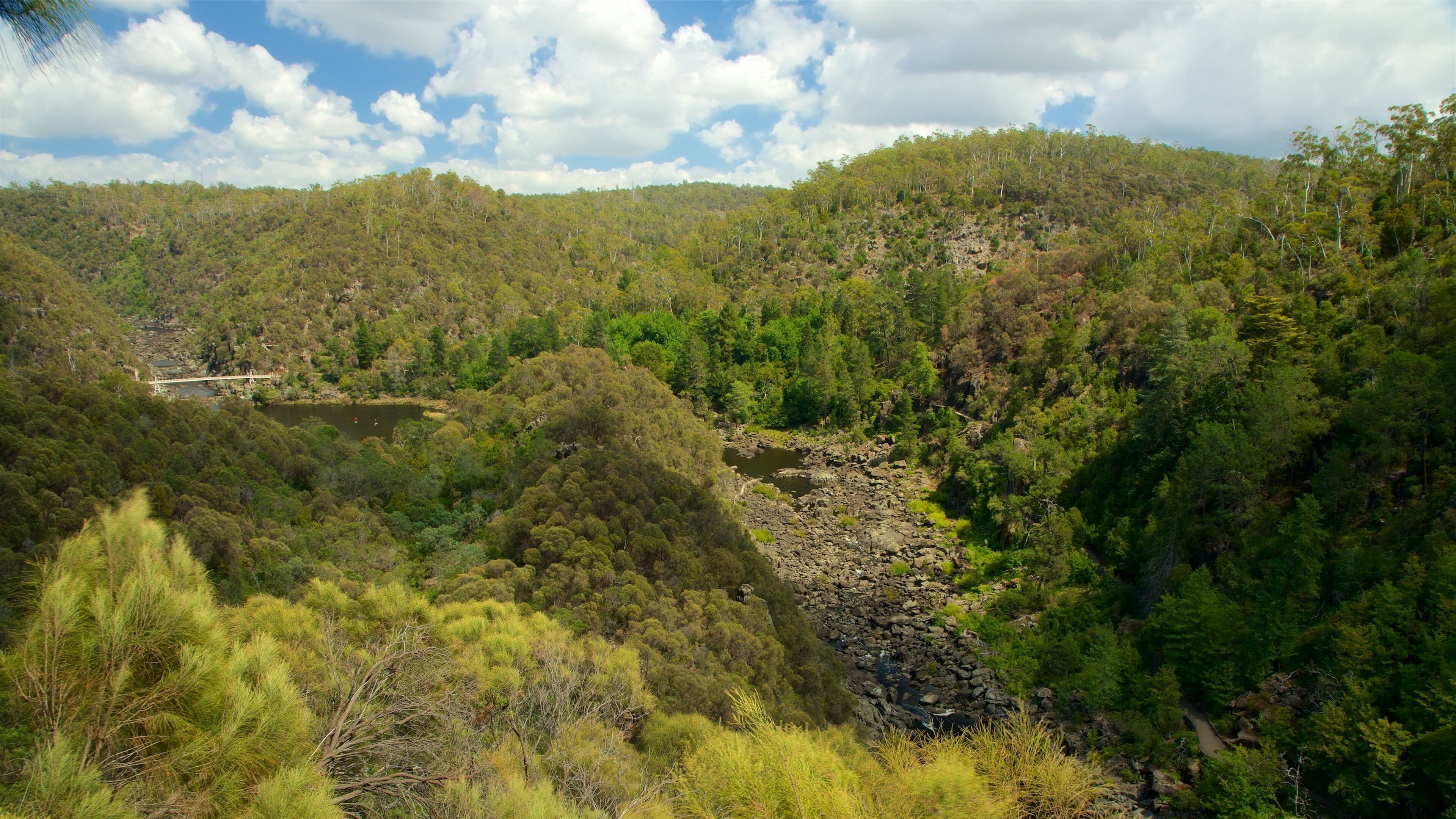 A river winding through a forested valley with a bridge in the distance.