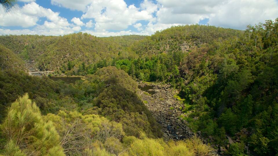 A river winding through a forested valley with a bridge in the distance.