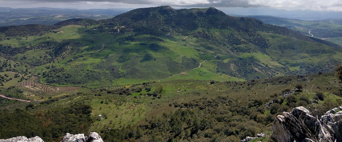 A mountainous landscape with rolling hills, a winding road, and scattered trees.