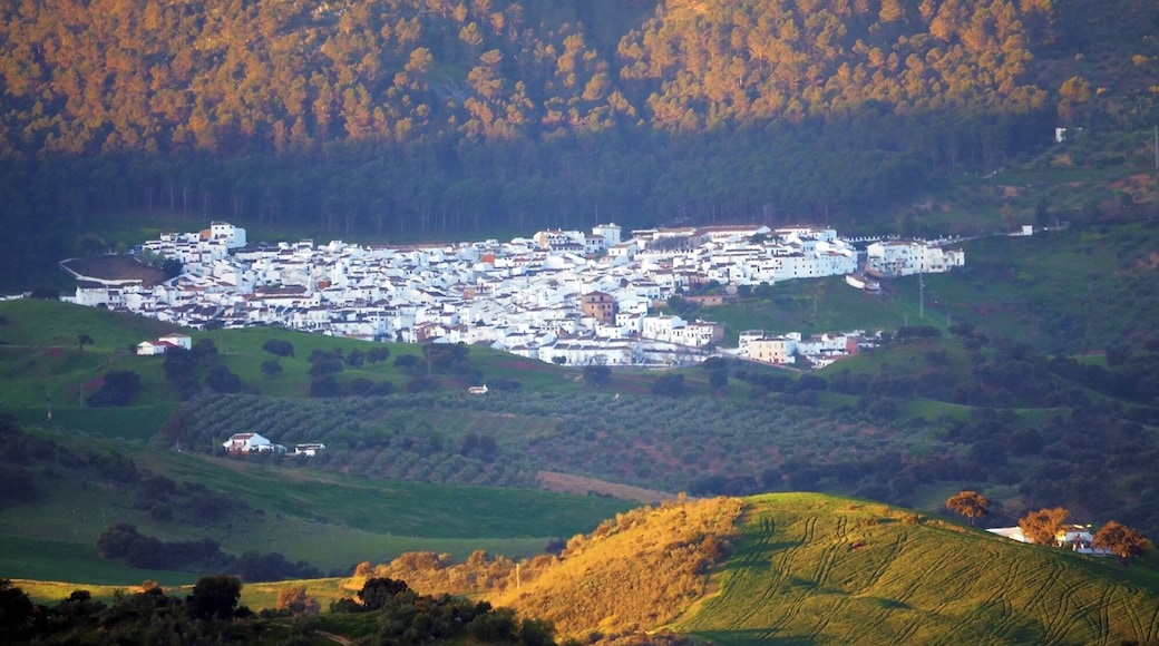 Эль Гастор. Вид из Ольверы