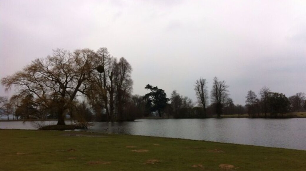 The lake at Petworth Park