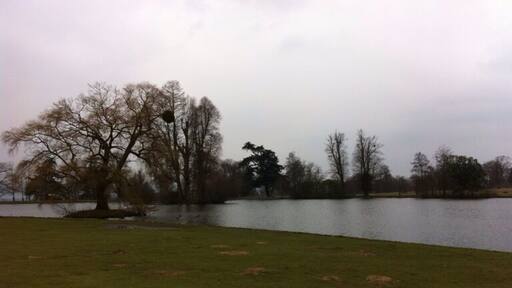 The lake at Petworth Park