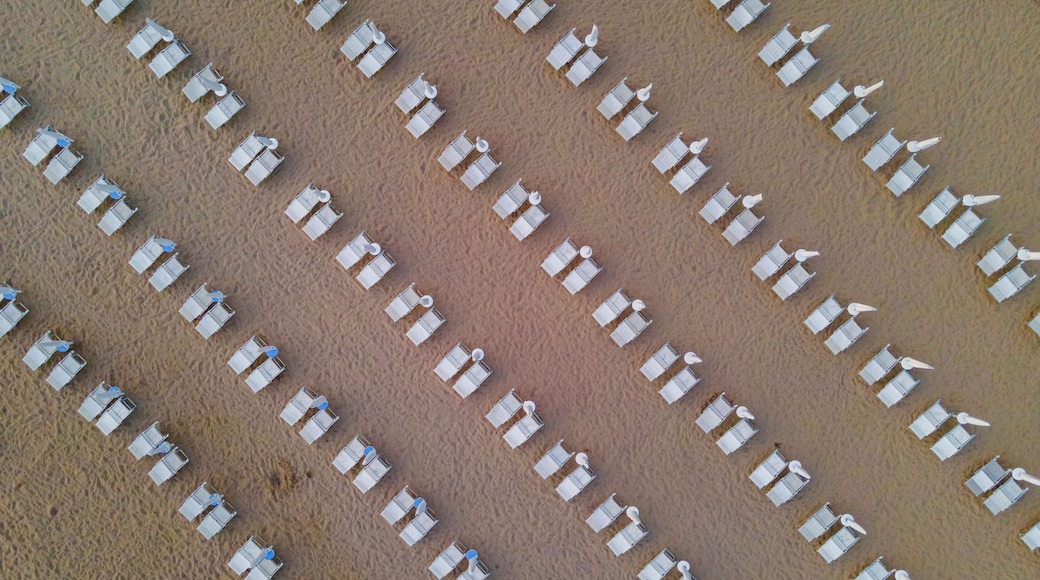 Aerial view of umbrella on the beach along the shoreline, Capaccio, Paestum, Campania, Italy.