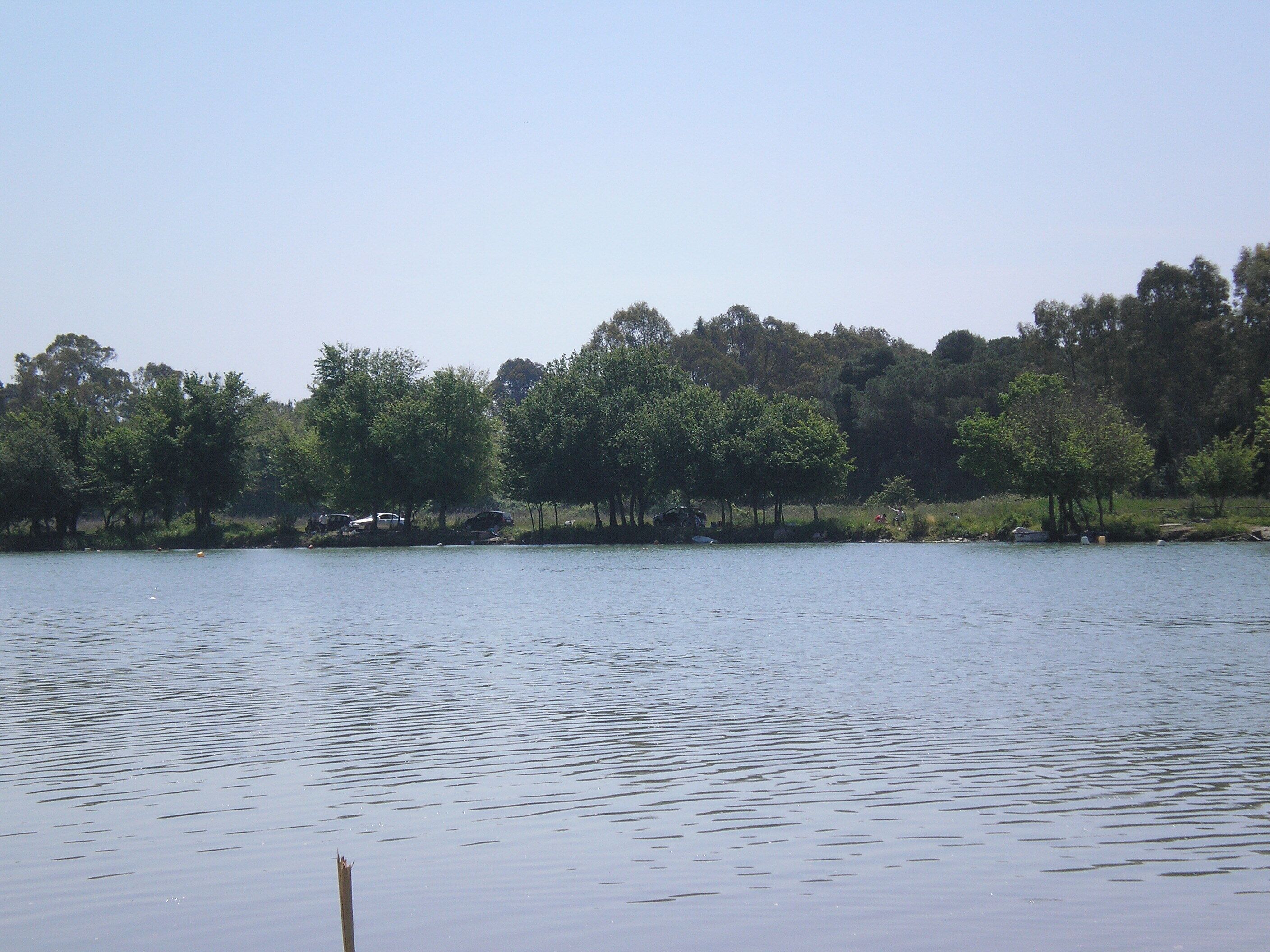 Foce del fiume Sele4 foto di peppe pepe Angri