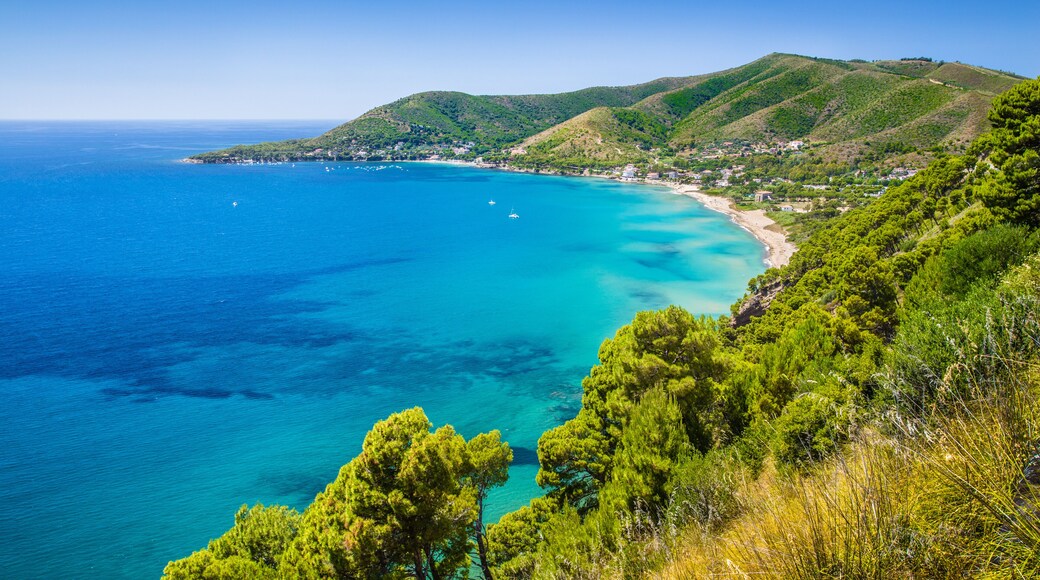 ์ด๋ณผ๋ฆฌ