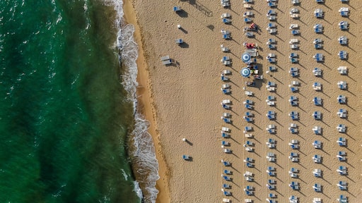 Aerial view of umbrella on the beach along the shoreline facing the Mediterranean Sea, Capaccio, Paestum, Campania, Italy.