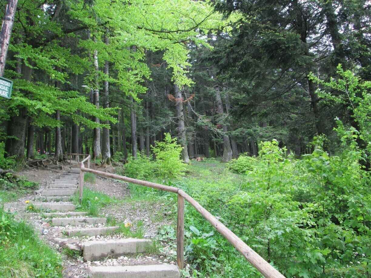 The steps leading to Caraiman Monastery from Busteni. You may also choose to take a cab if steep stairs through nature aren't your forte. 