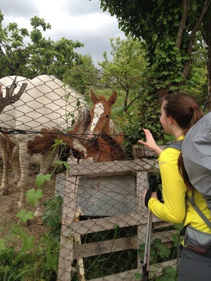 Making some friends along the Camino!