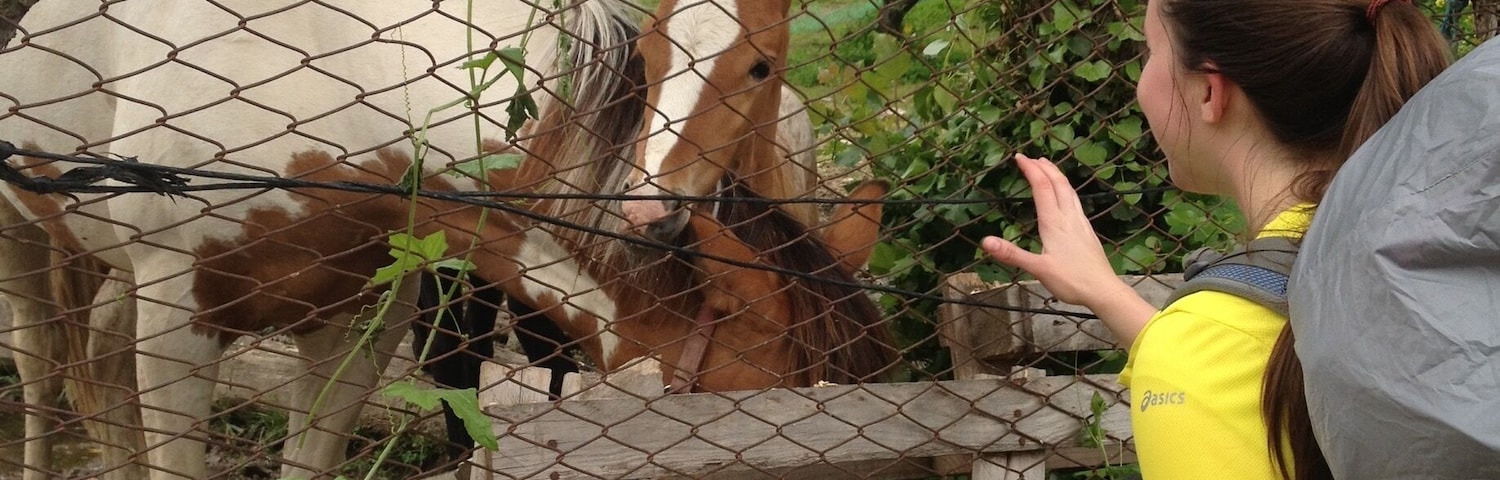 Making some friends along the Camino!