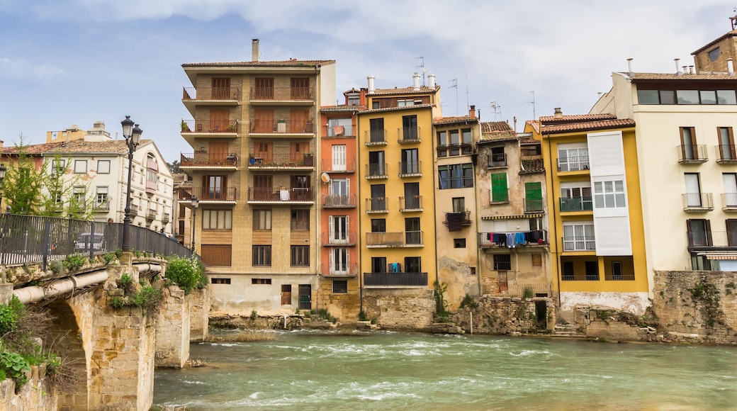 Colorful houses and bridge at the Ega river in Estella, Spain