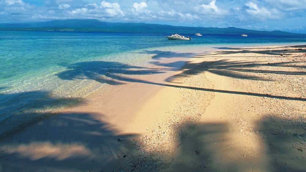 Shadows of palm trees on the beach, Qamea Island, Fiji