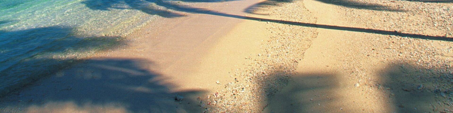 Shadows of palm trees on the beach, Qamea Island, Fiji