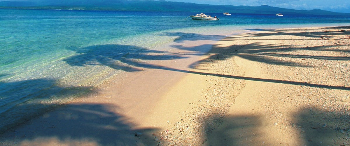 A beach with clear turquoise water, a sandy shore, and a palm tree.