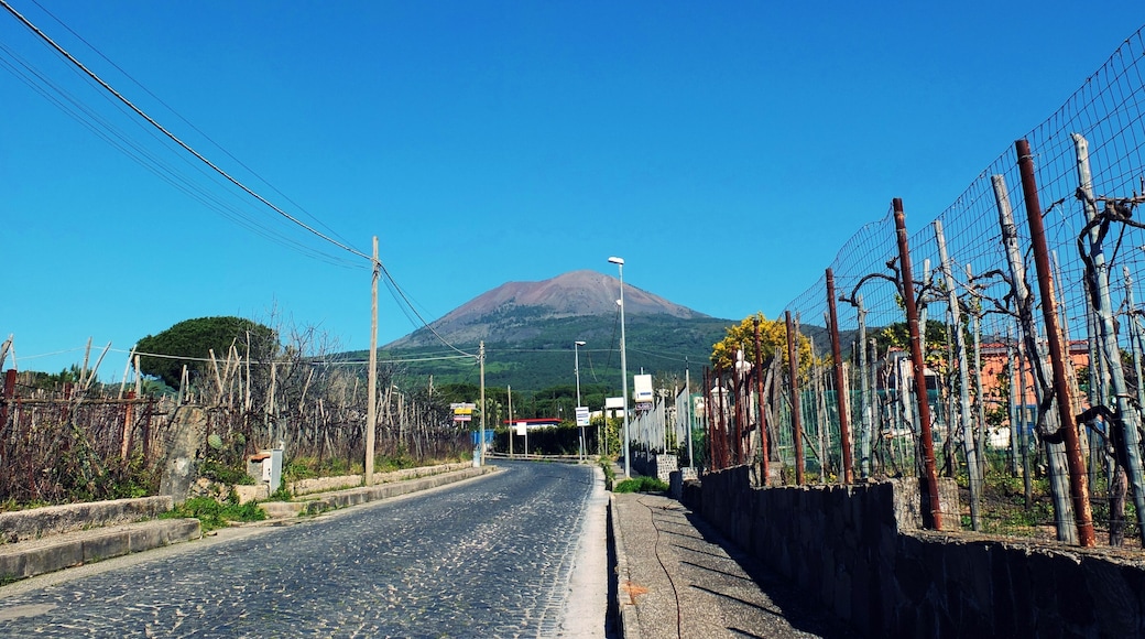 Boscotrecase; Mount Vesuvius; Lacryma Christi wineyards.