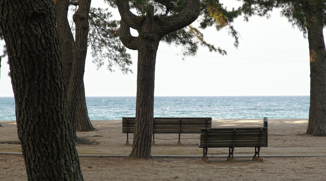 Ohama_Coast in Sumoto, Hyogo prefecture, Japan.