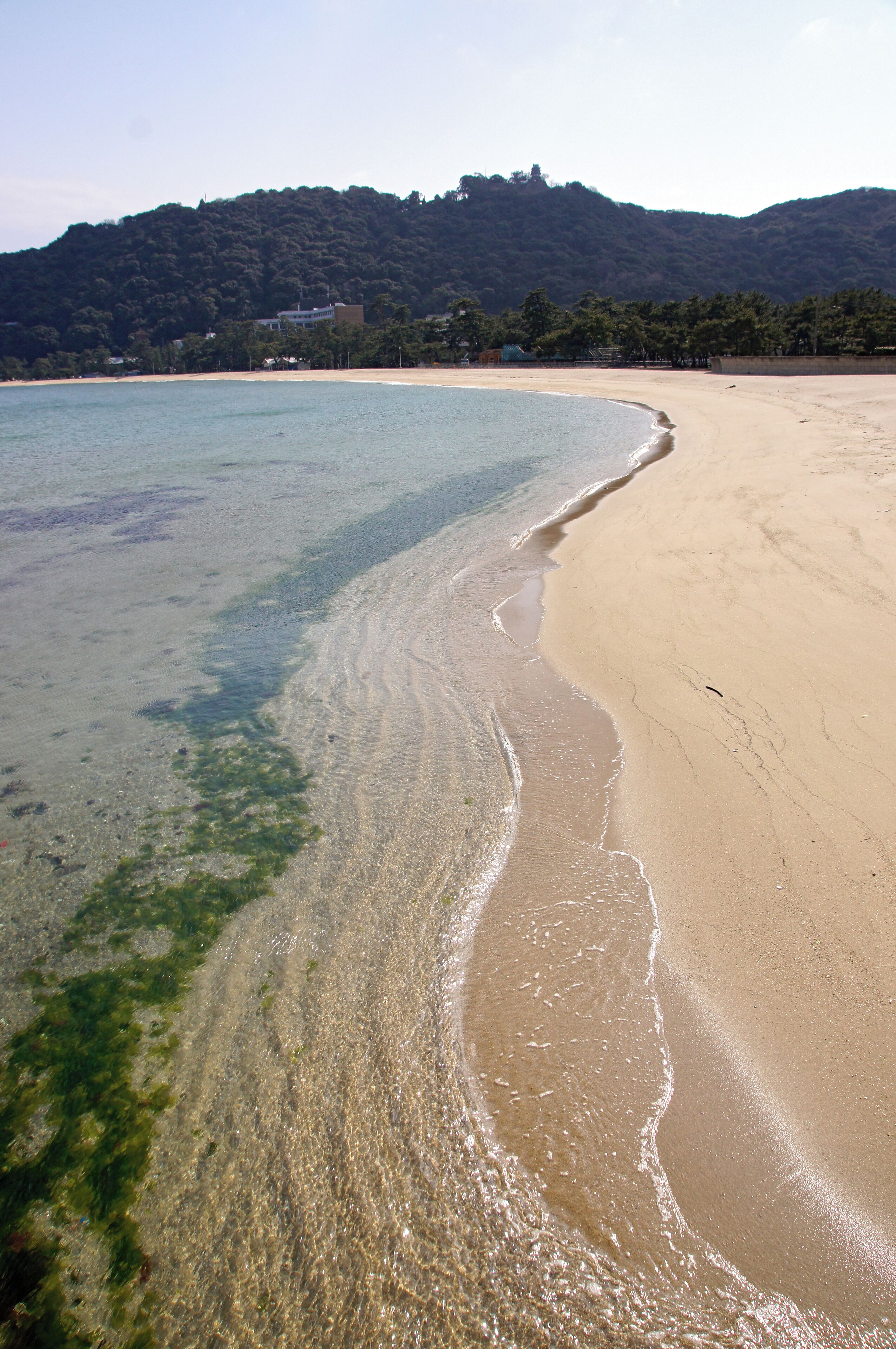 A beach with clear water, sandy shore, and a forested hill in the background.