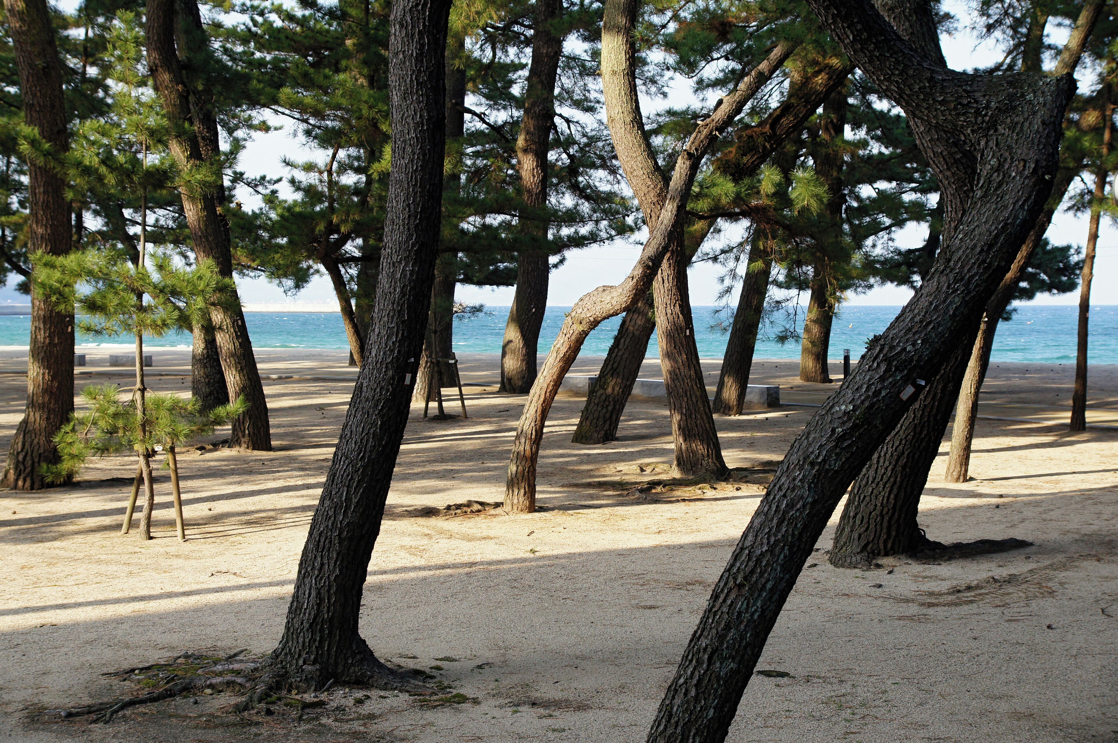 Ohama_Coast in Sumoto, Hyogo prefecture, Japan.