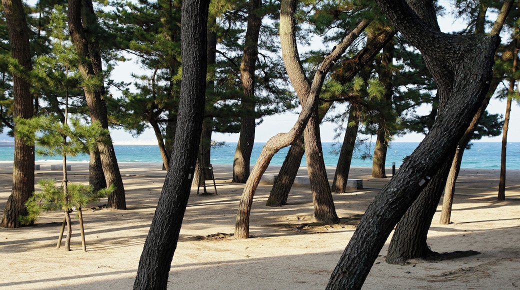 Ohama_Coast in Sumoto, Hyogo prefecture, Japan.