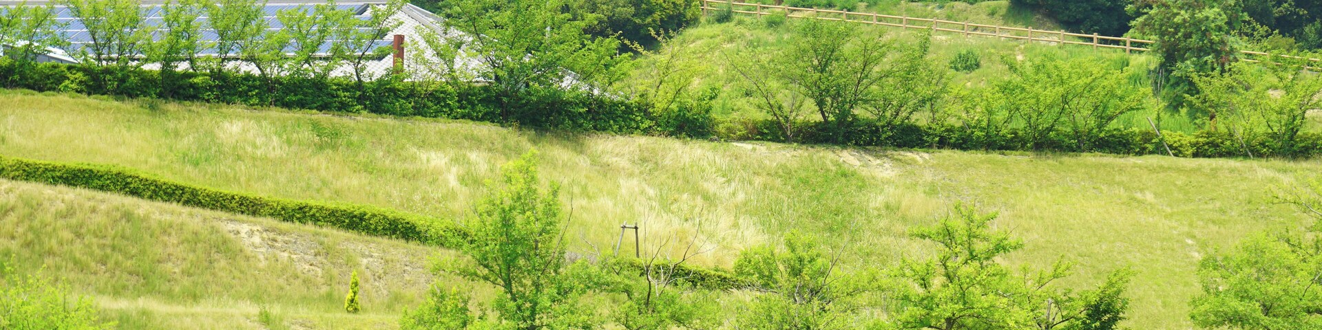 Zona residencial con casas, un sendero y árboles verdes.