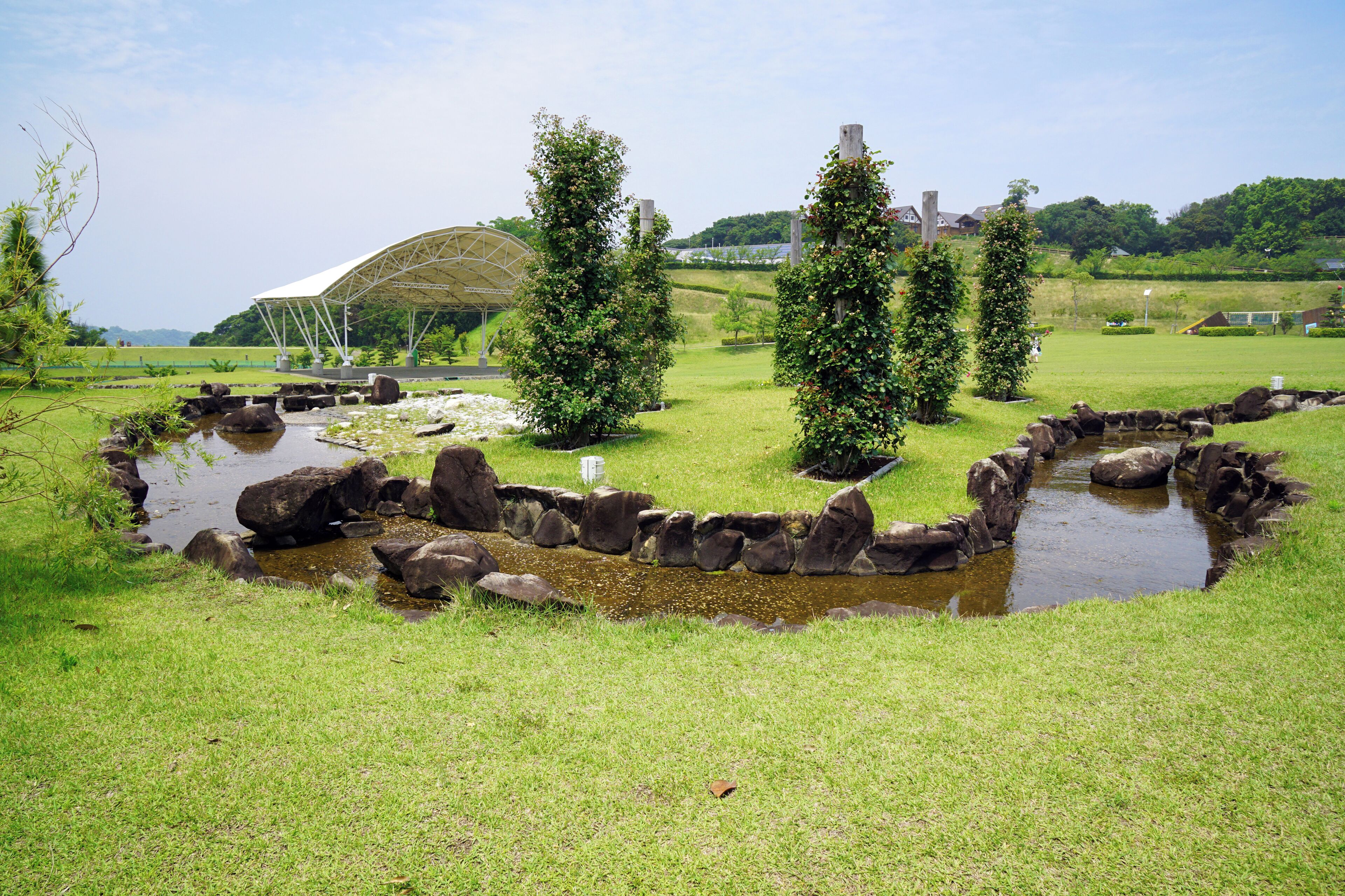 A landscaped garden with a pond, rocks, and trees.