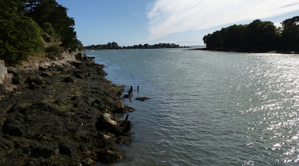 vue sur le golfe du morbihan depuis port anna