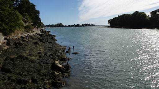 vue sur le golfe du morbihan depuis port anna