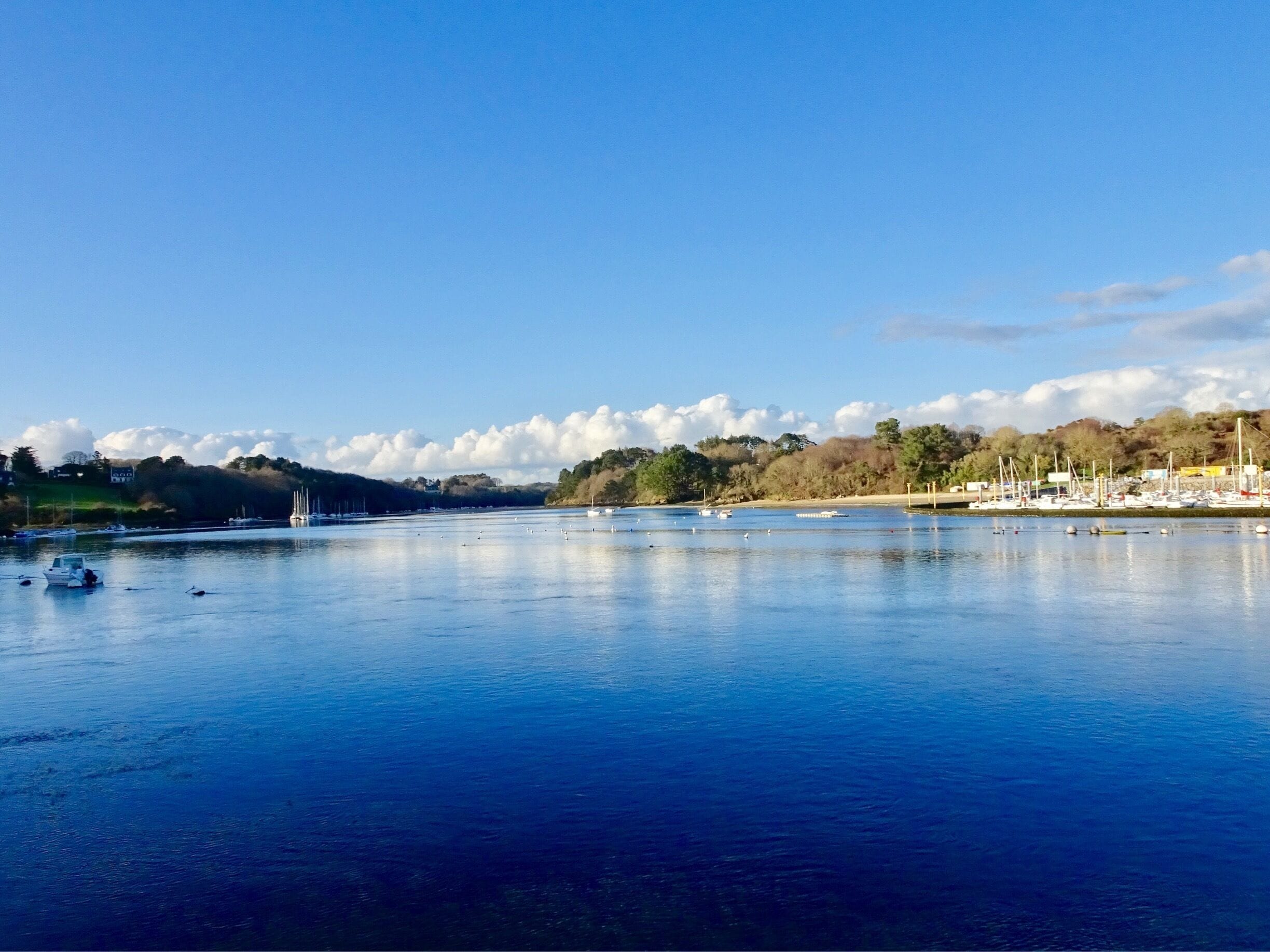 A calm lake with boats, a marina, and a forested hillside in the background.