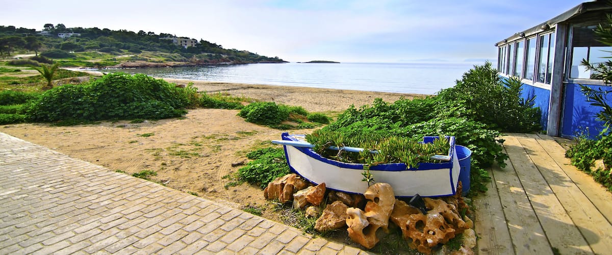 A beach with a boat filled with plants, a wooden boardwalk, and a distant shoreline with buildings.