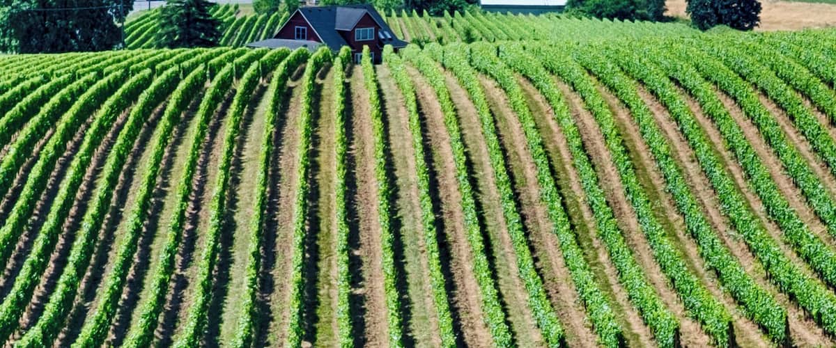 Wine tasting @Sokol Blosser winery, Oregon
#sokolblosser #oregon #vineyardvines #vineyards #dundeehills #pacificnorthwest
#lifeatexpedia