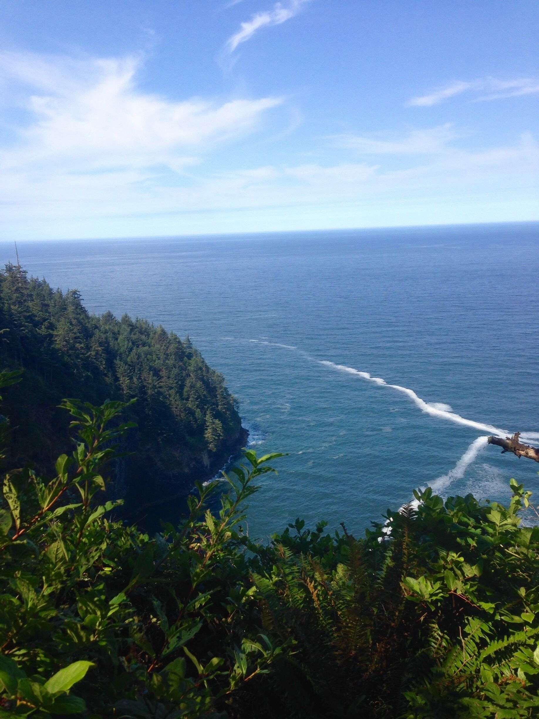 A coastal landscape with a forested cliff and ocean waves.