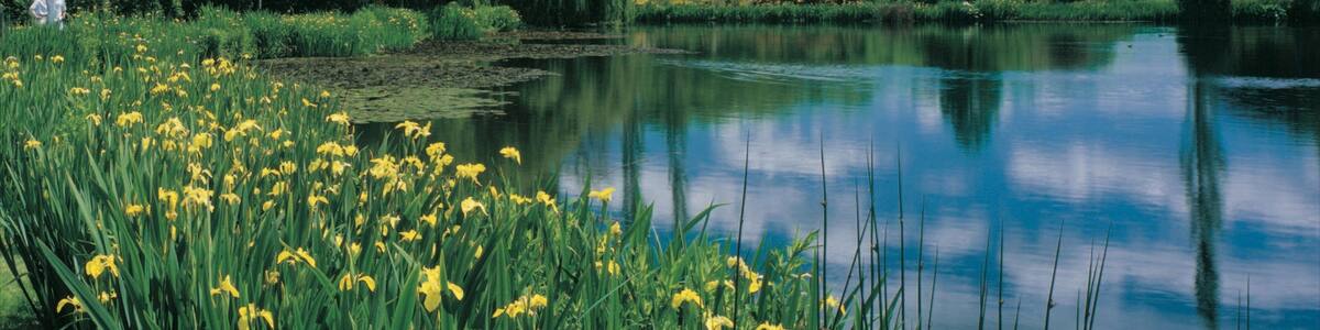 Westbury featuring a lake or waterhole and a park