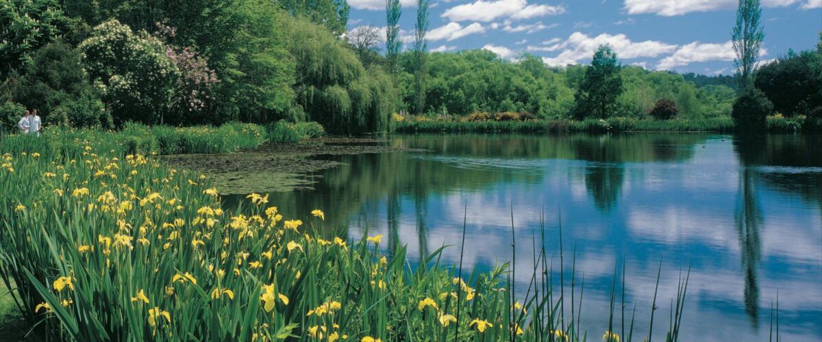 Westbury featuring a lake or waterhole and a park