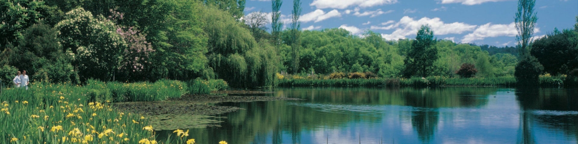 Westbury featuring a lake or waterhole and a park