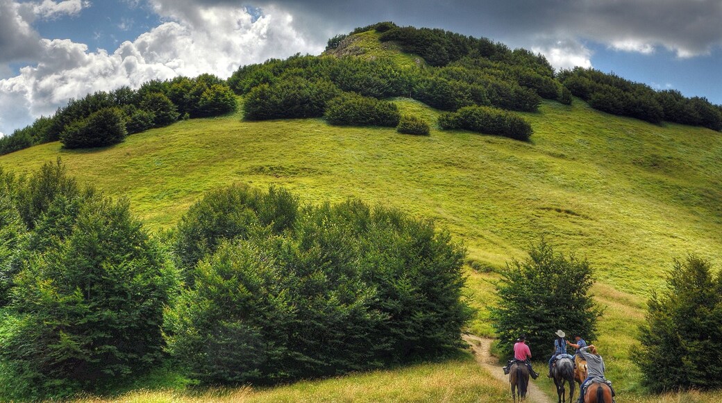 Untitled - Comano (MS) Italy - July 25, 2010