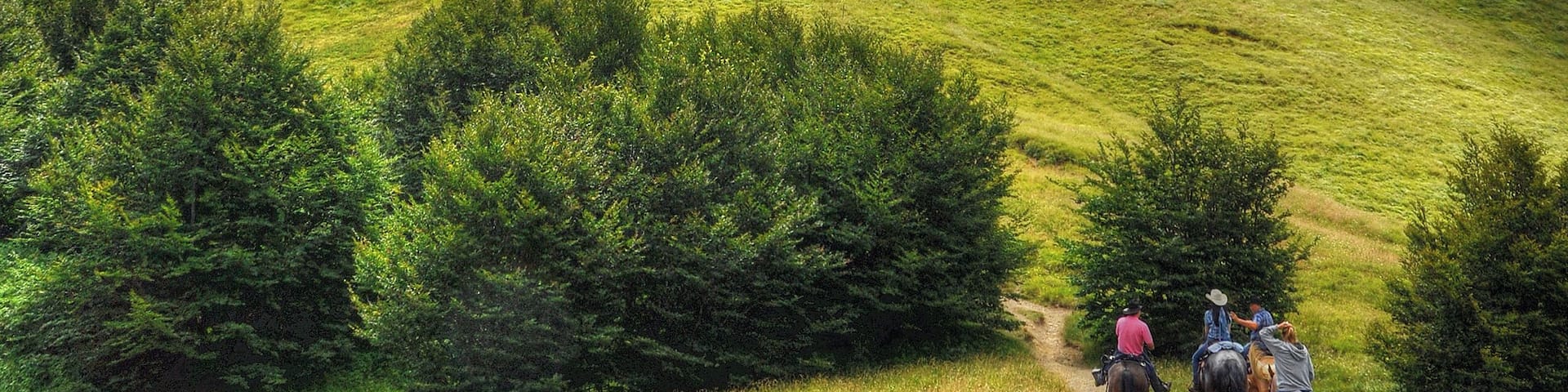 Untitled - Comano (MS) Italy - July 25, 2010