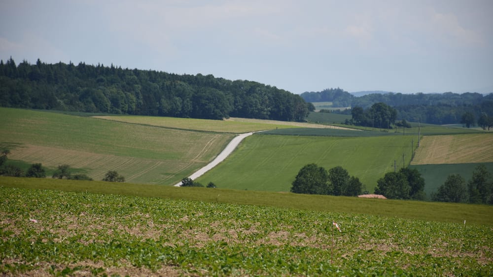 Oberösterreich, Heimat, Ansfelden, Wiesen, Felder, Hügel, Straße, Funkturm, Richtfunk, Funkmast, Voralpenland, Traunviertel, Linz Land, Linz, Fleckendorf, Landwirtschaft