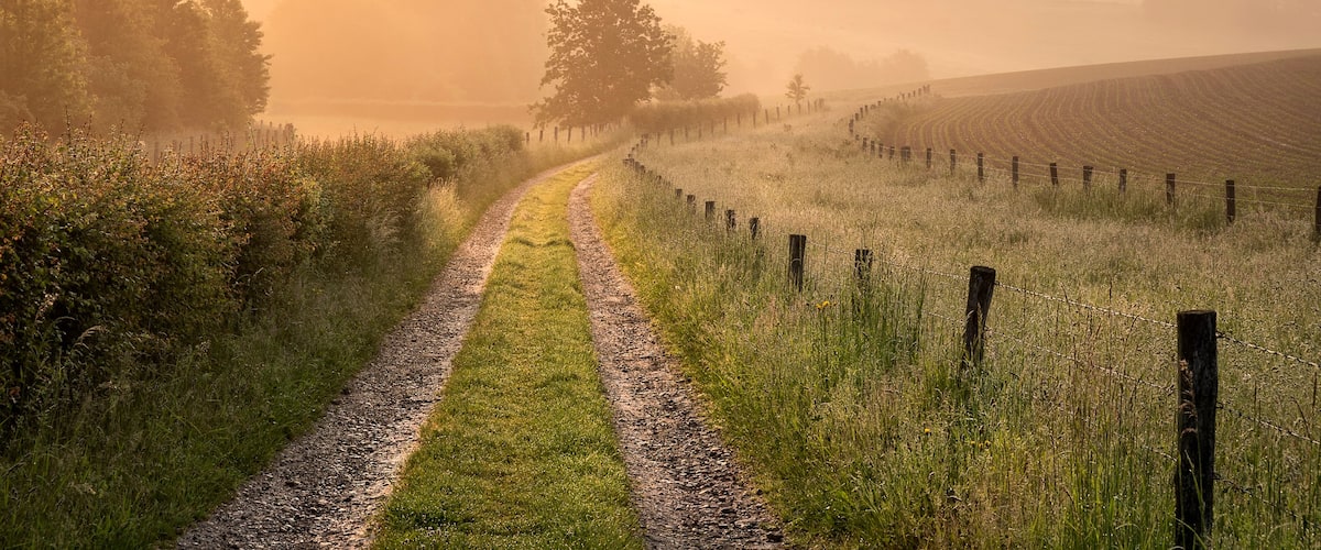countryside road on Belgian farmland at sunrise
