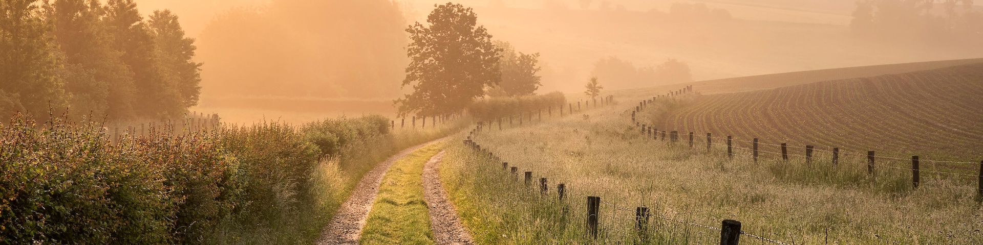 Paesaggio rurale con un sentiero sterrato, campi e una recinzione.